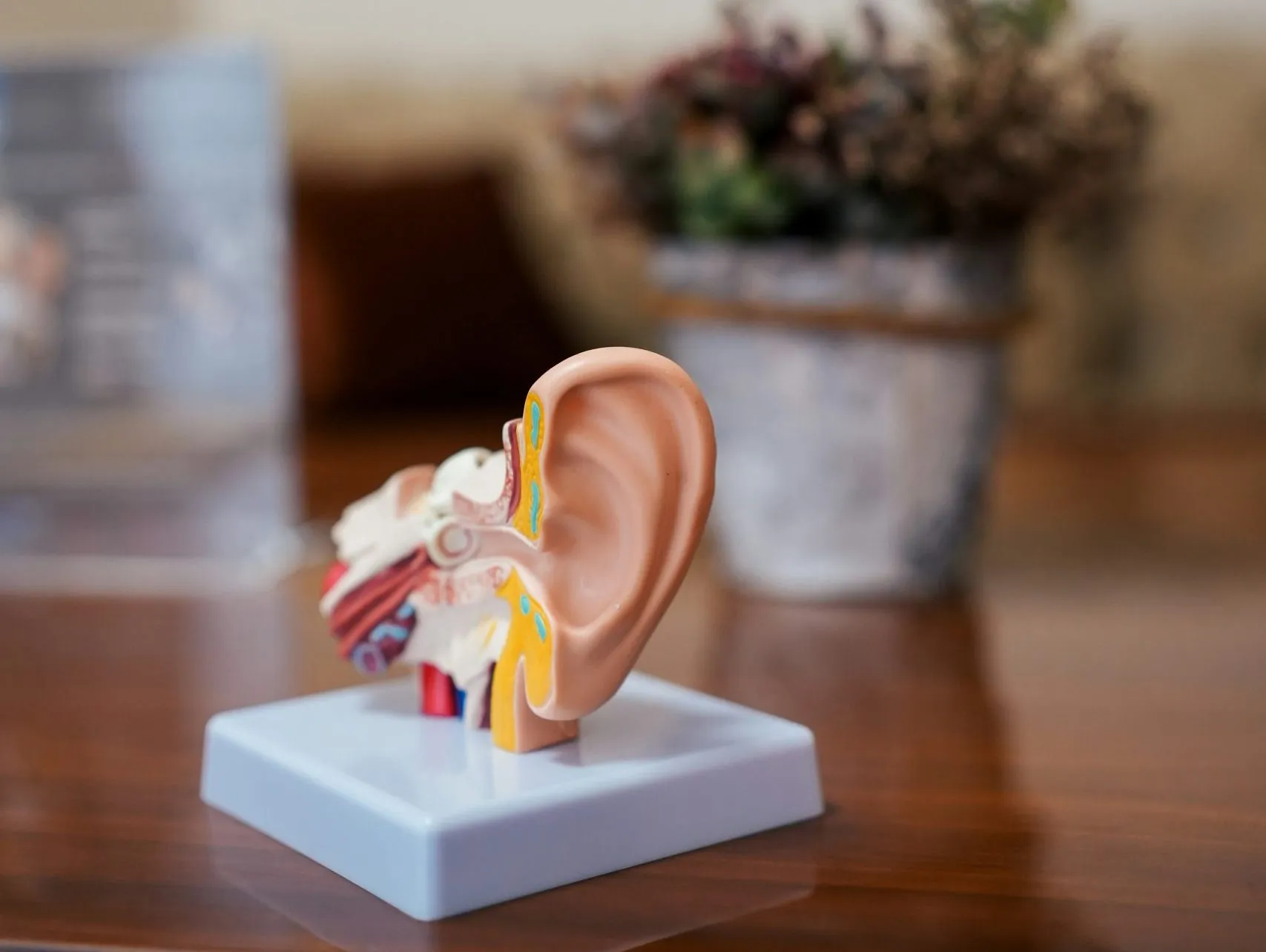 oreille acouphène