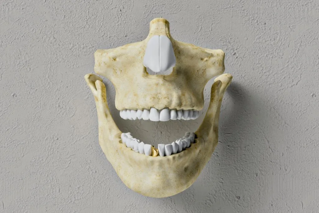 Kinésithérapie Maxillo-Faciale : Définition, Bienfaits et Pathologies Traitées