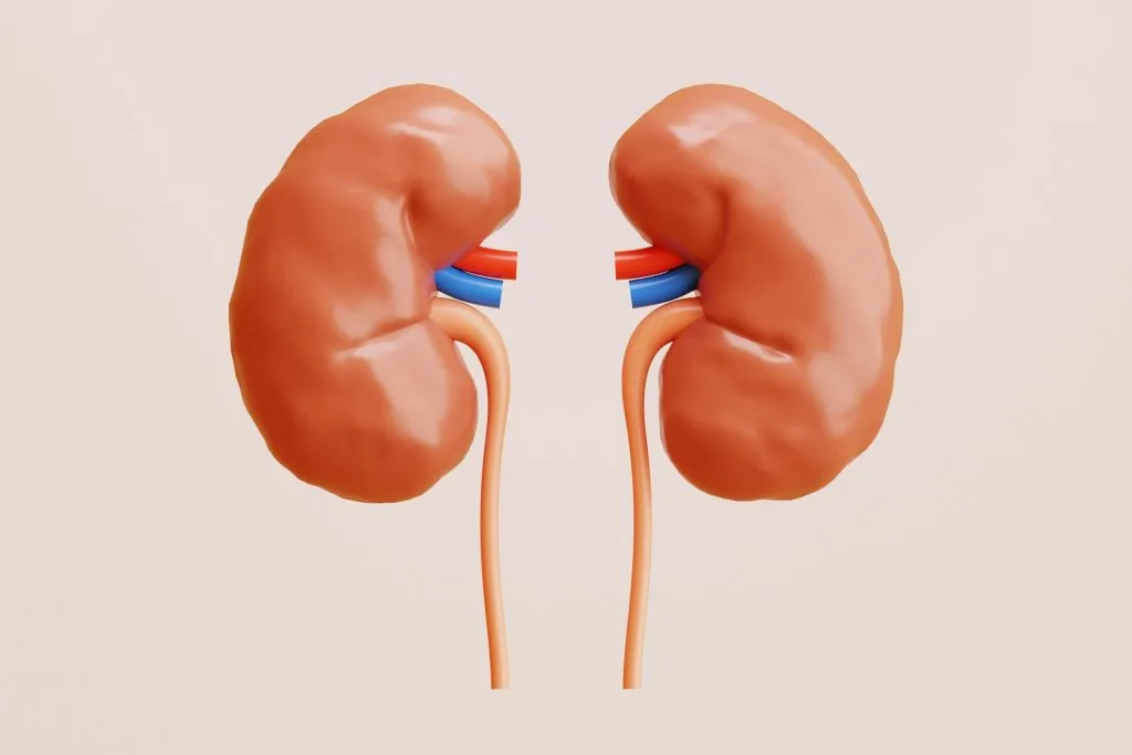 La Néphrologie